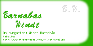 barnabas windt business card
